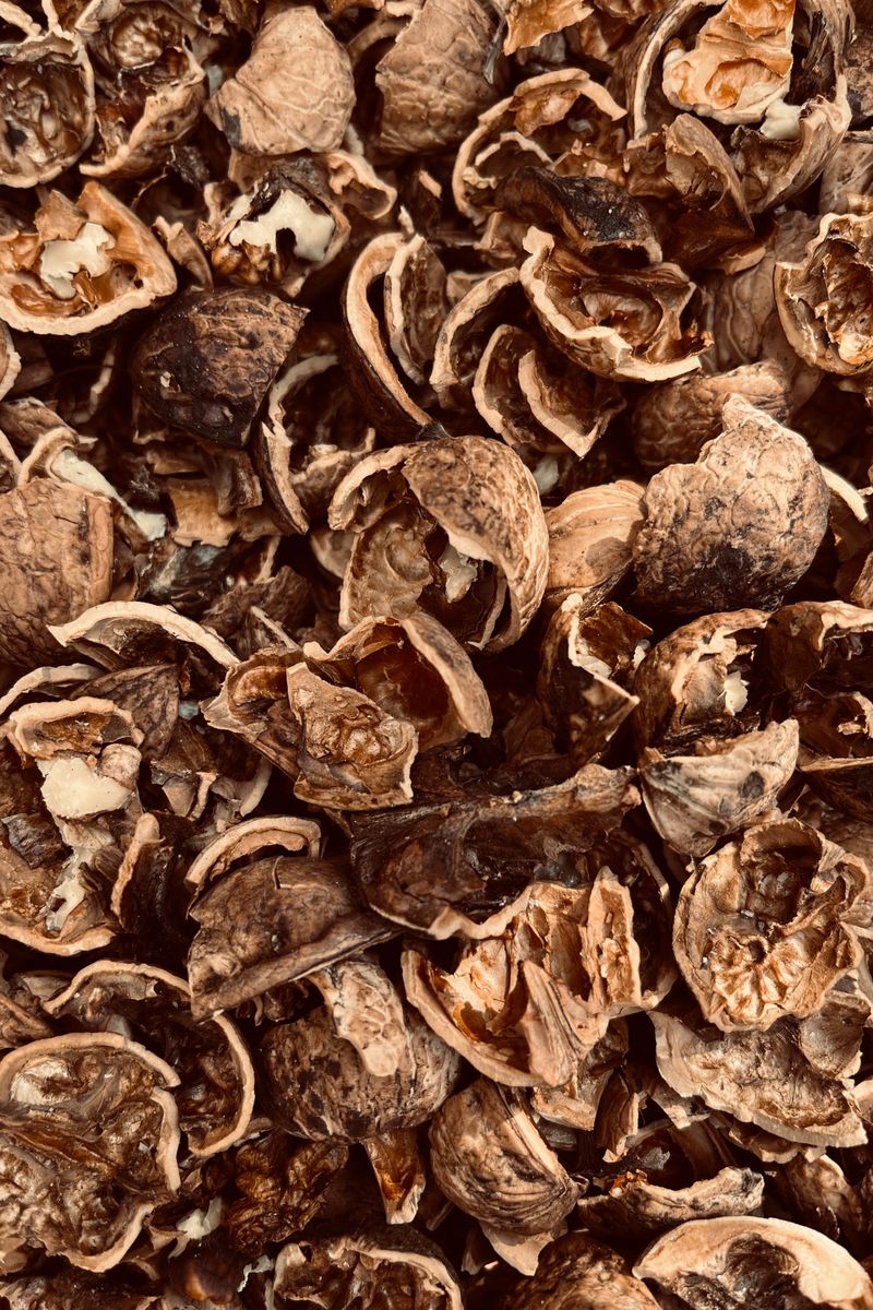 A pile of cracked walnut shells in a brown textured pattern, perfect for backgrounds.